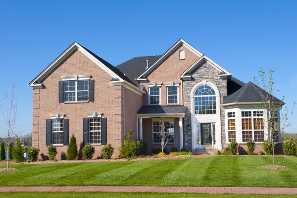 New Construction Landscaping in Jupiter