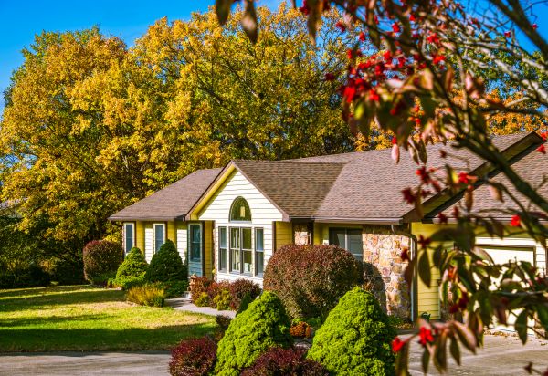 Ranch Landscaping in Jupiter