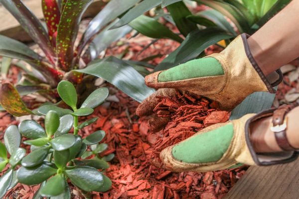 Residential Mulching in Jupiter