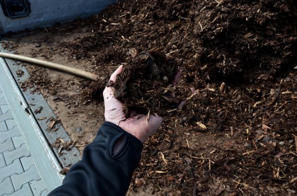 Condo Mulching in Jupiter