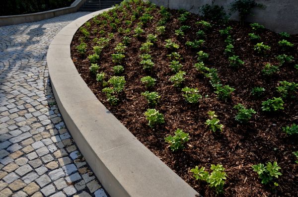 Commercial Mulching in Jupiter